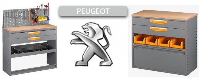 Modules Peugeot
